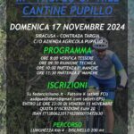 3° TROFEO CANTINE PUPILLO